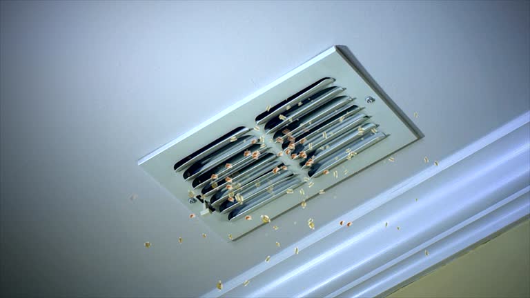 Best Emergency Air Duct Cleaning  in Whidbey Island Station, WA